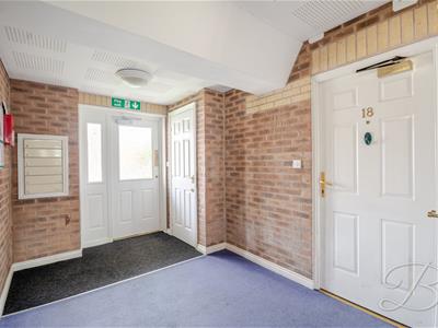 Picture 12